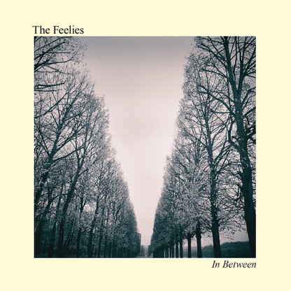 The Feelies, In Between 2017